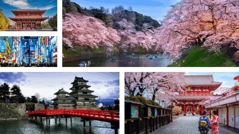 SGE Viagens e Turismo - Grupo Exclusivo - Japão Florada das Cerejeiras 2025 Card
