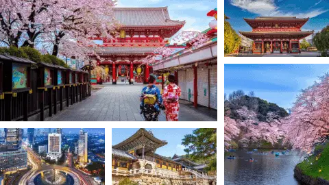 SGE Viagens e Turismo - Grupo Exclusivo - Coréia do Sul , Indonésia e Singapura 2025 Card